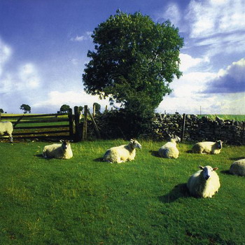 The KLF - Chill Out